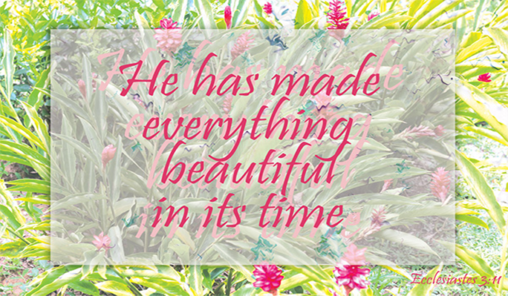 flower background with text overlay of Ecclesiastes 3:11